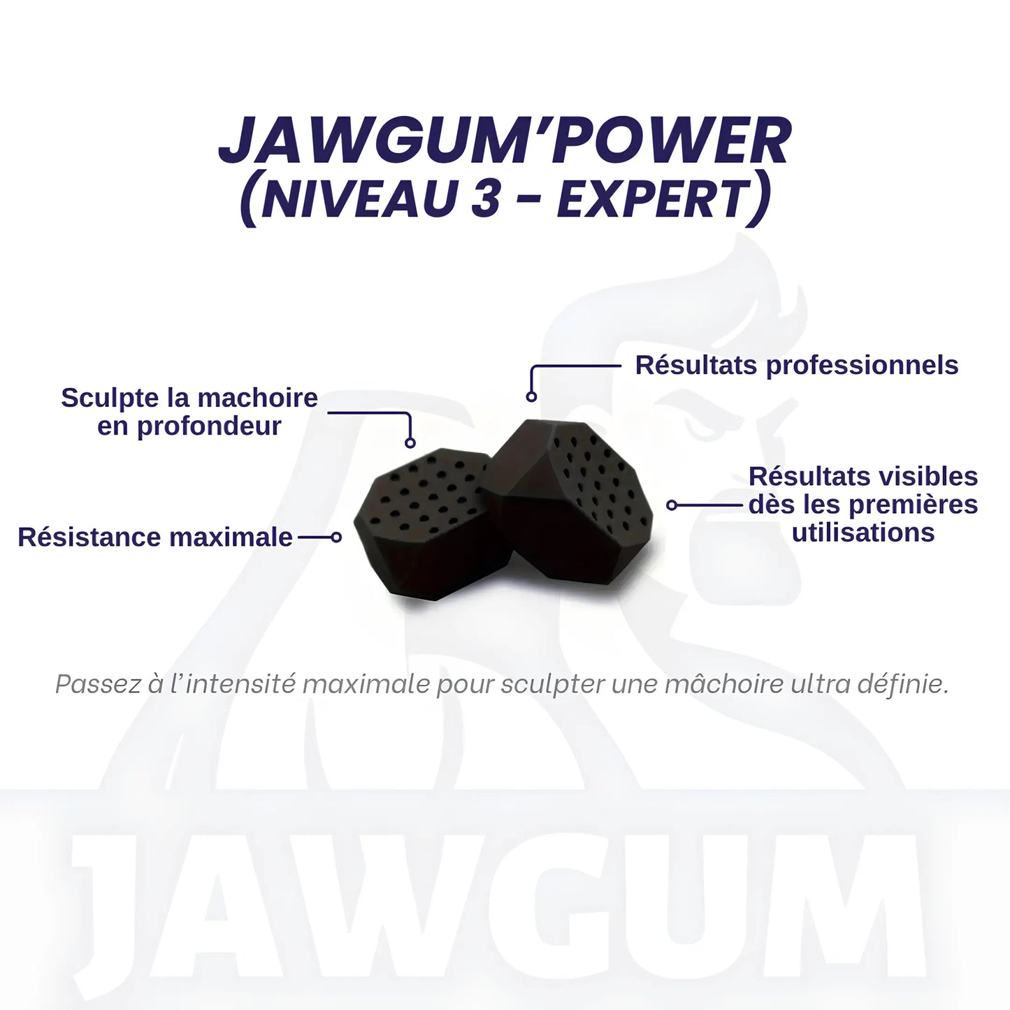 Pack complet JAWGUM - JAWGUM (France)