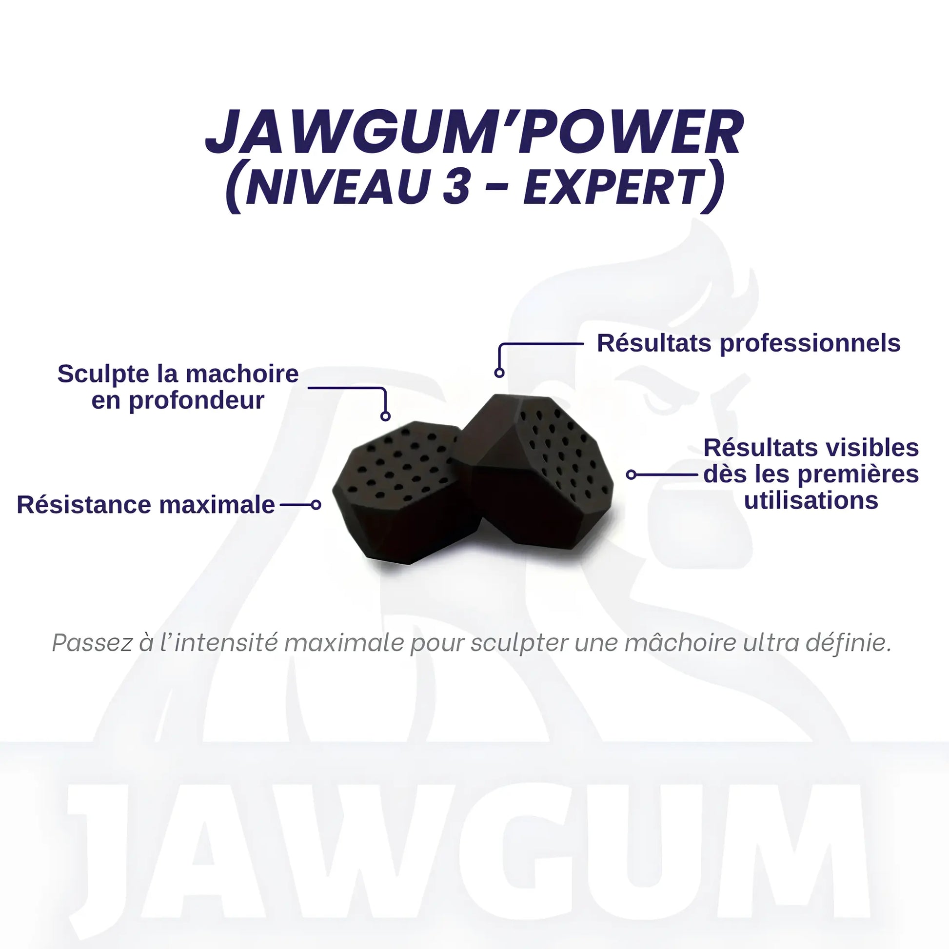 Pack complet JAWGUM - JAWGUM (France)